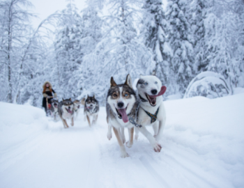 Lapland 3 nights