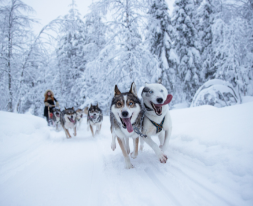 Lapland 3 nights