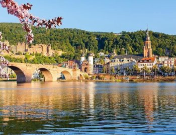 rhine river cruise
