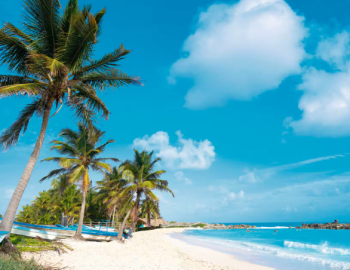 Holiday to Hawaii