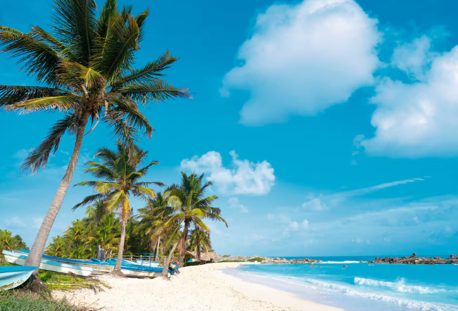 Holiday to Hawaii